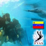 Venezuela irá a Copa Internacional de Actividades Subacuáticas Cuba 2011