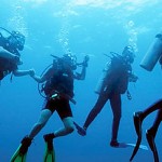 Registro Comité Técnico Buceo FVAS 2011