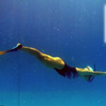 Récords y Rankings Nacionales Apnea y Natación con Aletas FVAS 2012 - Actualizados 10 de Diciembre