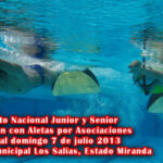 Convocatoria Campeonato Nacional de Natación con Aletas Junior y Senior por Asociaciones FVAS 2013
