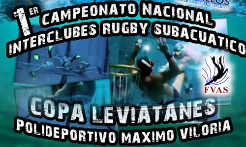 copaleviatanesrugbysub