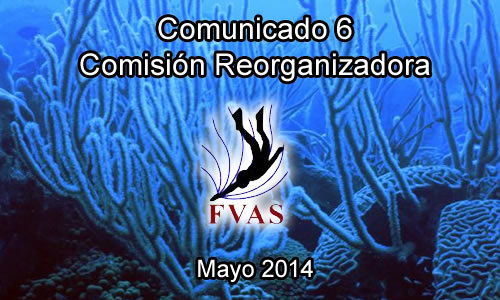 comunicado-6-fvas-2014